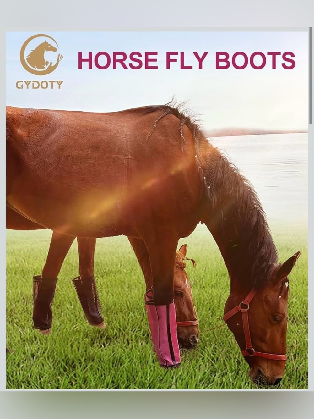 Horse Fly Boots Set of 4, Breathable Mesh Protectores para Caballos, Indoor & Ou